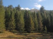 La cima vista dalla via di salita tra A.Marco e la Colla