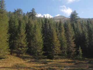 La cima vista dalla via di salita tra A.Marco e la Colla
