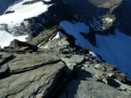 uno sguardo sulla cresta