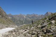 Sopra il lago