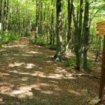 Inizio del sentiero dalla strada.