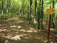 Inizio del sentiero dalla strada.