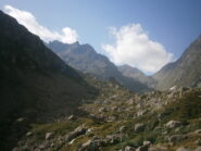 arrivando...