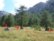 partenza del sentiero con l'ometto di pietre e i due larici isolati