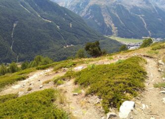 tornantini e tagli