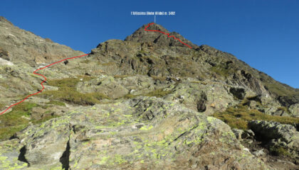 l'Altissima osservata dal Rifugio Petrarca