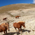 spettacolare tratto pedalato in compagnia