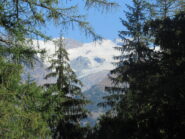 Monte Rosa