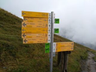 le foschie aumentano