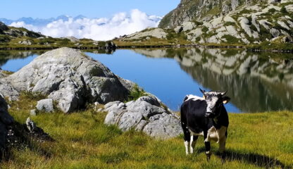3° lago con modella