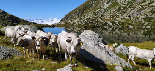 3° lago 