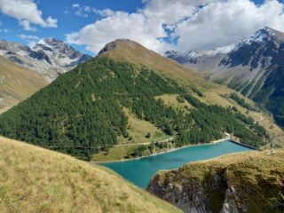 cartolina