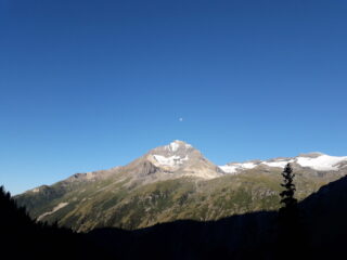 Parracheé e Luna...