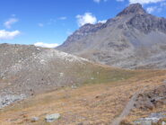 colle e testa di entrelor