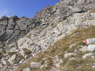 Nuovi bolli, ben evidenti.