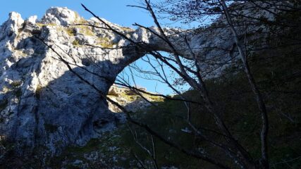 quasi arrivati