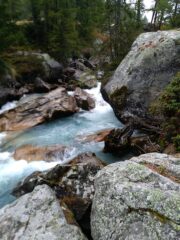 torrente