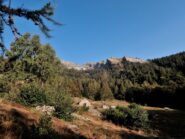Alpe Anfirn