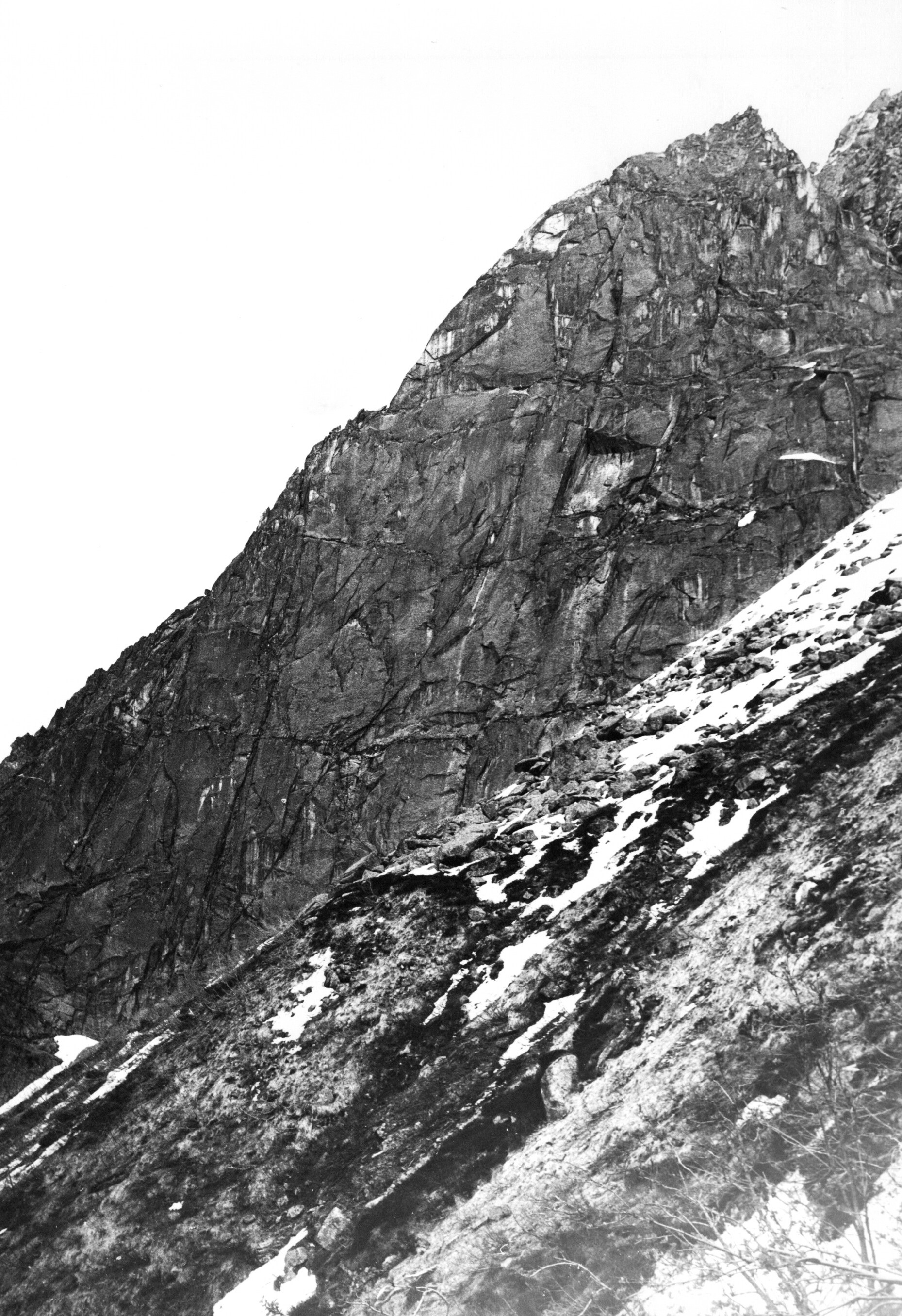 La parete NO della Costa Vargnei - Punta delle Tole Reverse. (Ph. U. Manera, 1981)