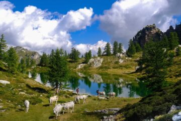 Il lago nero
