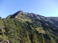 Il Saccarello dal Passo di Collardente