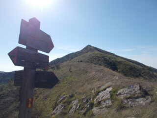 ultimo tratto in cresta alla vetta..