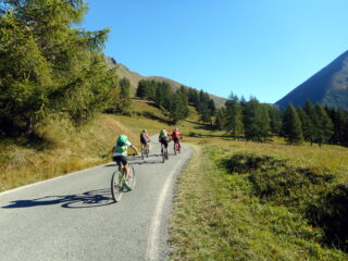 verso Pian dell'Alpe