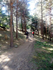 nel bosco dell'Impero