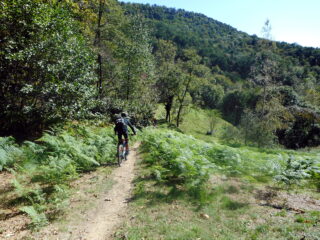verso Costagrande