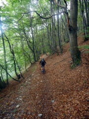 verso colle Cime