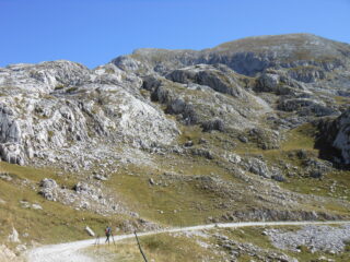 Strada bianca, proprio!