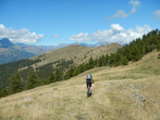 dal Colle Intersile Sud verso il Monte Festa