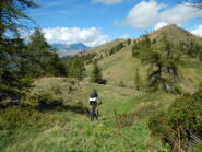 in discesa dal Monte Festa