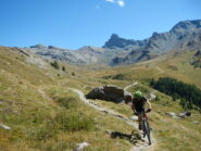 l'inizio del bel sentiero Gran Canal