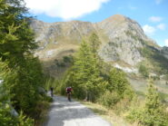 in salita verso il Colle di Esischie