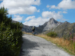 sullo sfondo il Colle del Mulo