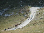 in discesa verso Preit e Canosio