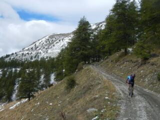 il tratto per raggiungere lo sterrato in falsopiano per il Forte Foens