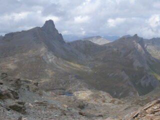 La Niera bella e slanciata