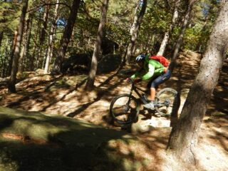 Tratti divertenti nel bosco