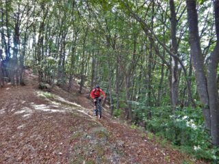 Il bellissimo tratto dalla Peira al colle della Piatta