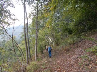 un tratto del sentiero verso  Mad.del Colletto