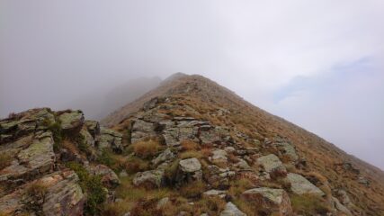 La dorsale da salire