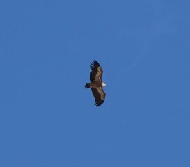 Ok, siamo noi gli intrusi...