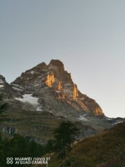La gran becca al mattino presto
