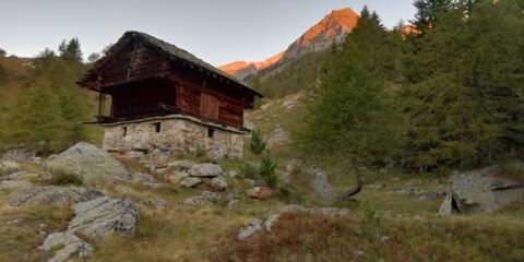 baite stupende