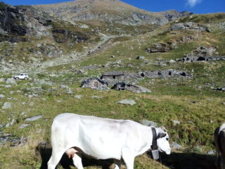 L'alpe Sella Vecchia.