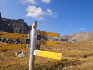 Palina nel vallone di meyes