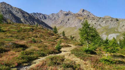 Bel pianoro dopo il ripido tratto nel bosco