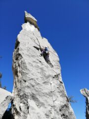 Sergio in azione